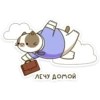 ЛЕЧУ ДОМОЙ
