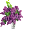 Цветы 2 @StikerDi 5