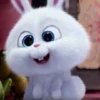 snowball rabbit 6