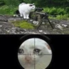 Crying Cat Deluxe 8