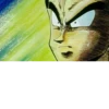 Dragonball cozze 2+ 10