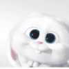 snowball rabbit 8