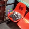 Cat's Memes by MahYa [ @MoodPacks ] 10