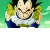 Dragonball cozze 2+ 12