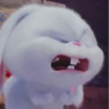 snowball rabbit 11