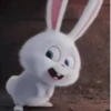 snowball rabbit 12