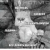 Broken Cats 2 12