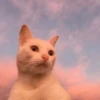 Cat's Memes by MahYa [ @MoodPacks ] 11