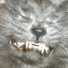 CATS 9