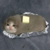 Crying Cat Deluxe 13