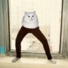 CATS 10