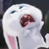 snowball rabbit 14