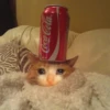 Crying Cat Deluxe 15