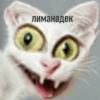 @chirpani r(a)u-sp-troll 12