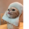 Pretty cats :: @fStikBot 16
