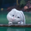 snowball rabbit 16