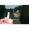 Crying Cat Deluxe 17