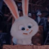 snowball rabbit 17