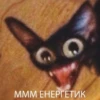 @chirpani r(a)u-sp-troll 16