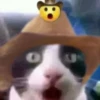 cats for gays 7