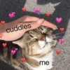 Cat's Memes by MahYa [ @MoodPacks ] 16
