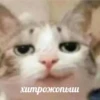 CatsCats :: @fStikBot 21
