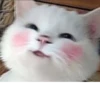 Miauw 나현 21