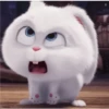 snowball rabbit 21