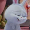 snowball rabbit 22