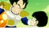 Dragonball cozze 2+ 20
