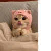 Pretty cats :: @fStikBot 22