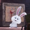 snowball rabbit 23