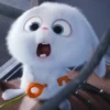 snowball rabbit 24
