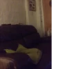 CATS 25