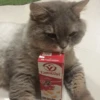Cat's Memes by MahYa [ @MoodPacks ] 22