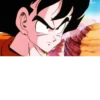 Dragonball cozze 2+ 24