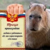 @capybaras_cutie 12