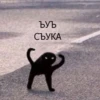 ЪУЪ СЪУКА