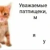 Создать стикеры|@EmojiRuBot 8