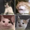 Crying Cat Deluxe 26
