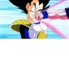 Dragonball cozze 2+ 27