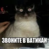 Broken Cats 2 29