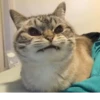 SO WUT by @fStikBot 26