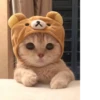 Pretty cats :: @fStikBot 27