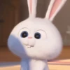 snowball rabbit 28