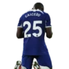 ChelseaFC 29