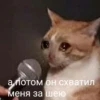 @CuteCatsTg Cute Cats 28