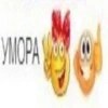 Создать стикеры|@EmojiRuBot 11