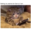 Crying Cat Deluxe 28