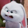 snowball rabbit 29